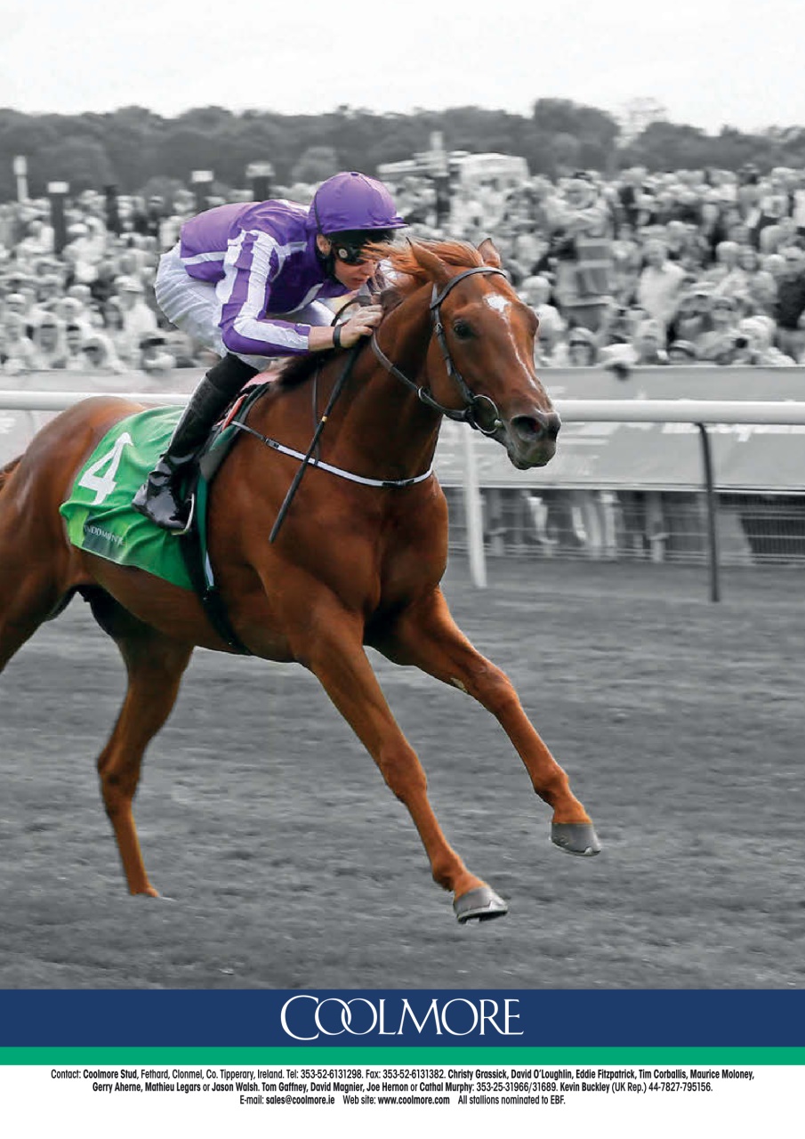 The Owner Breeder Preview Pages