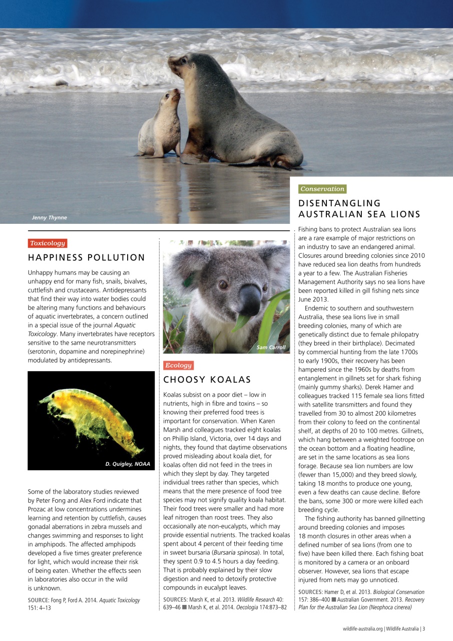 Wildlife Australia Preview Pages