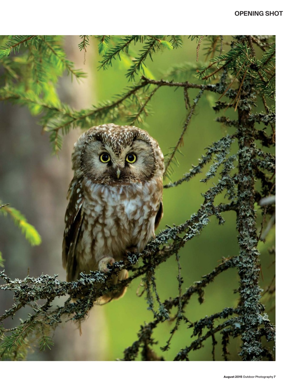 Outdoor Photography Preview Pages