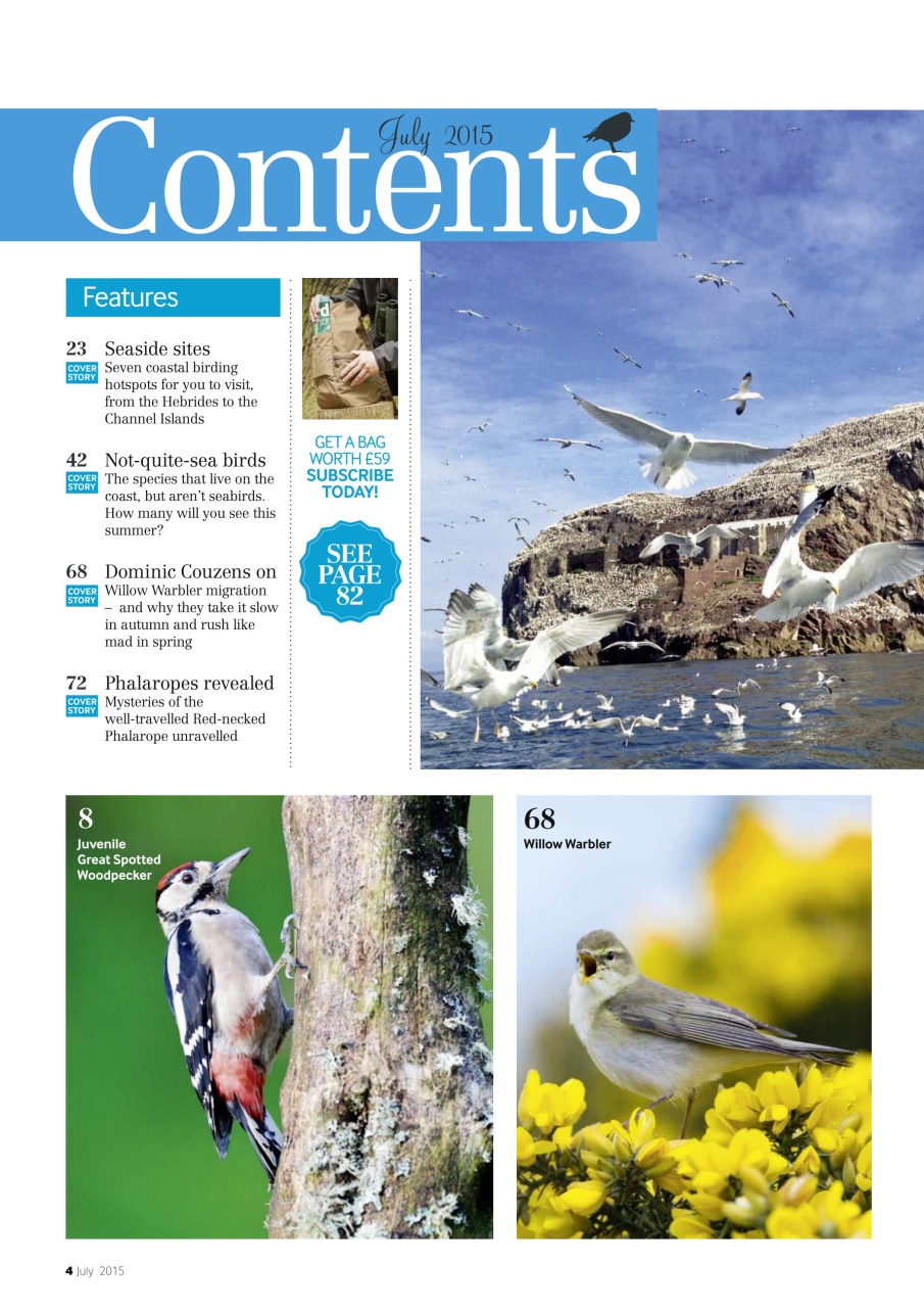 Bird Watching Preview Pages