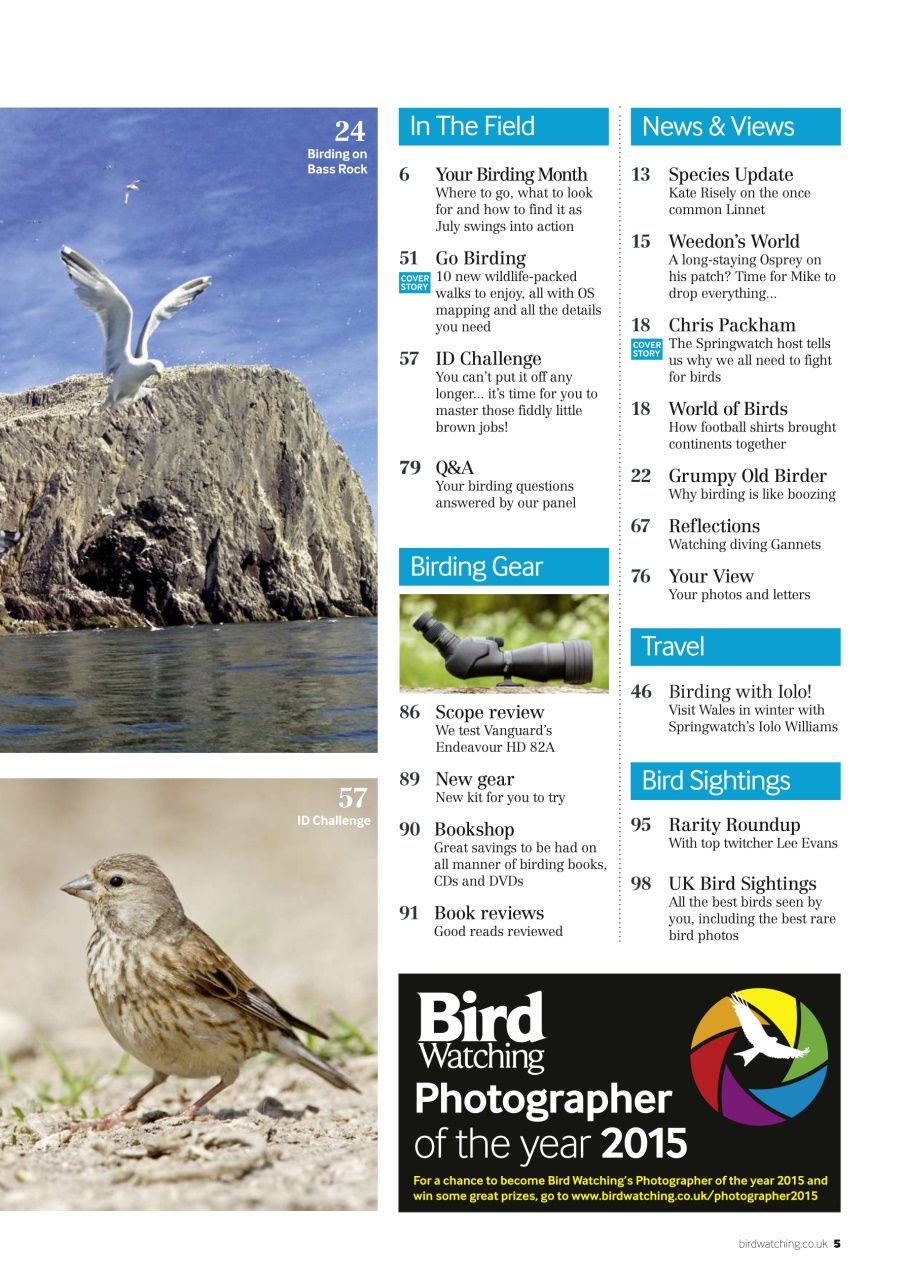 Bird Watching Preview Pages