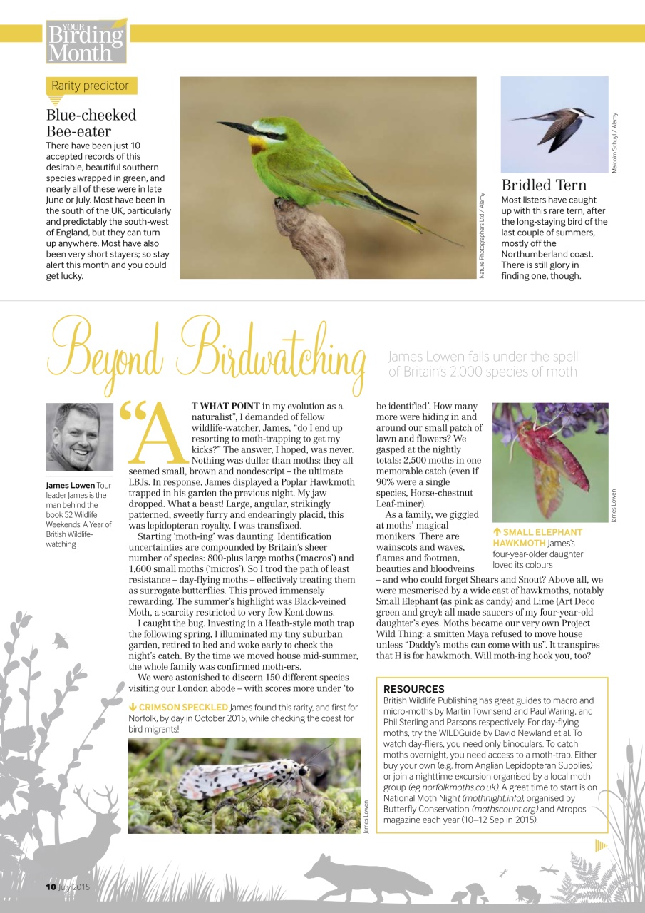 Bird Watching Preview Pages