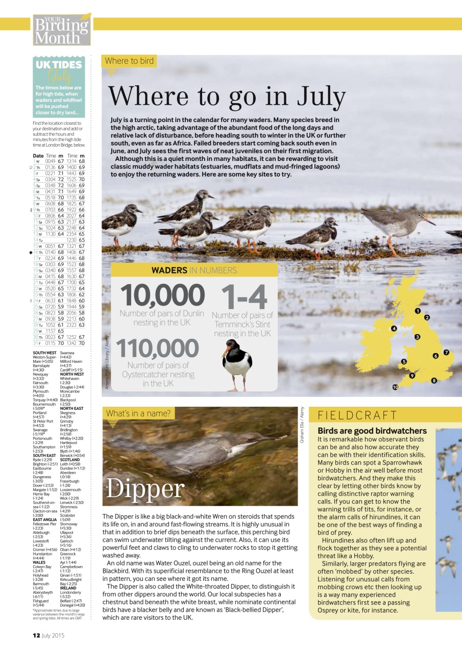 Bird Watching Preview Pages