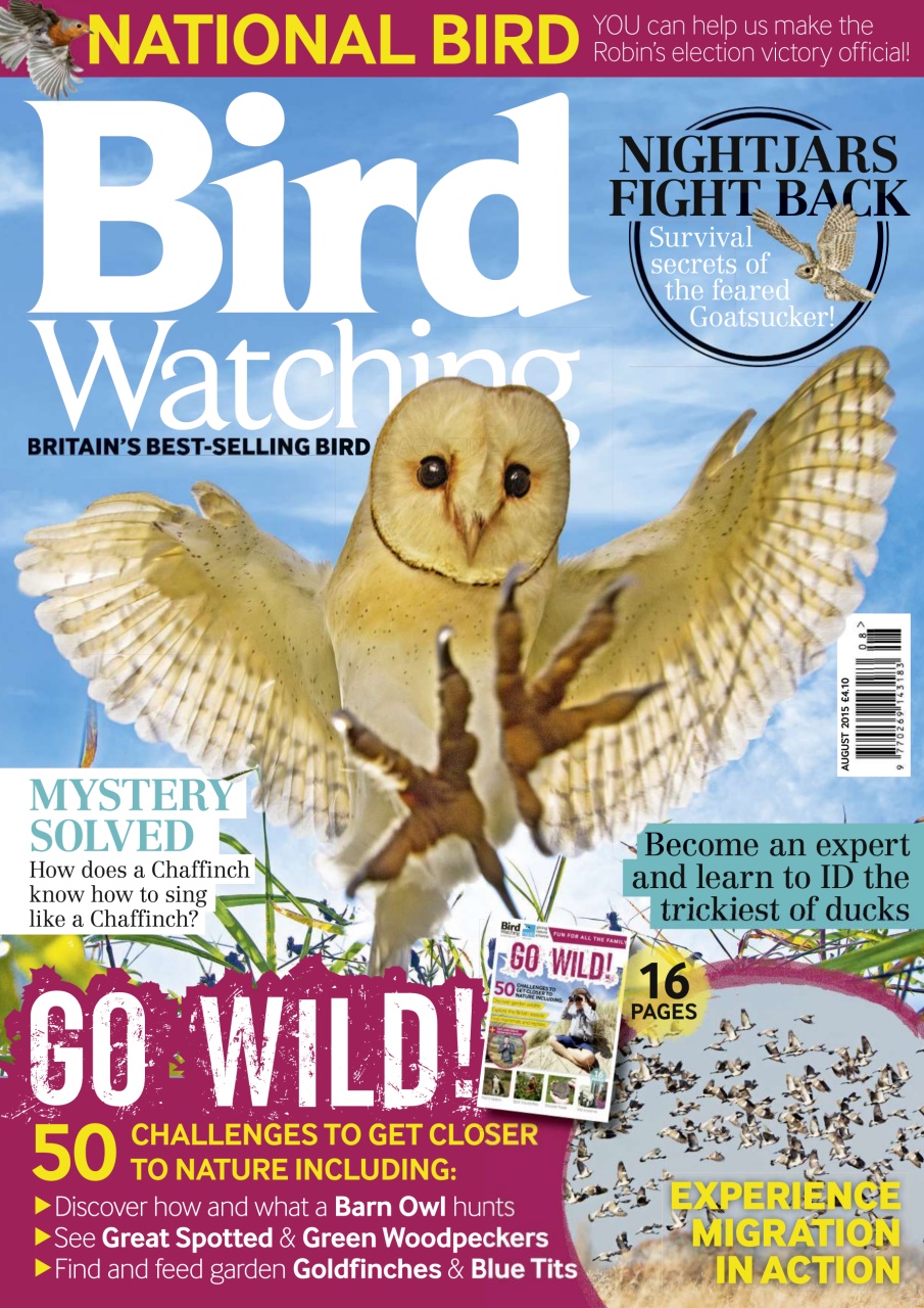 Bird Watching Preview Pages