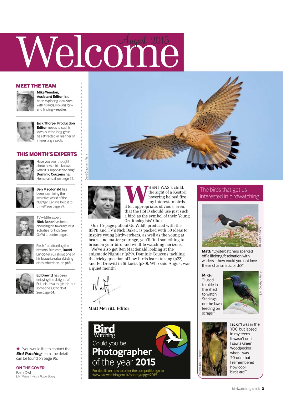 Bird Watching Preview Pages