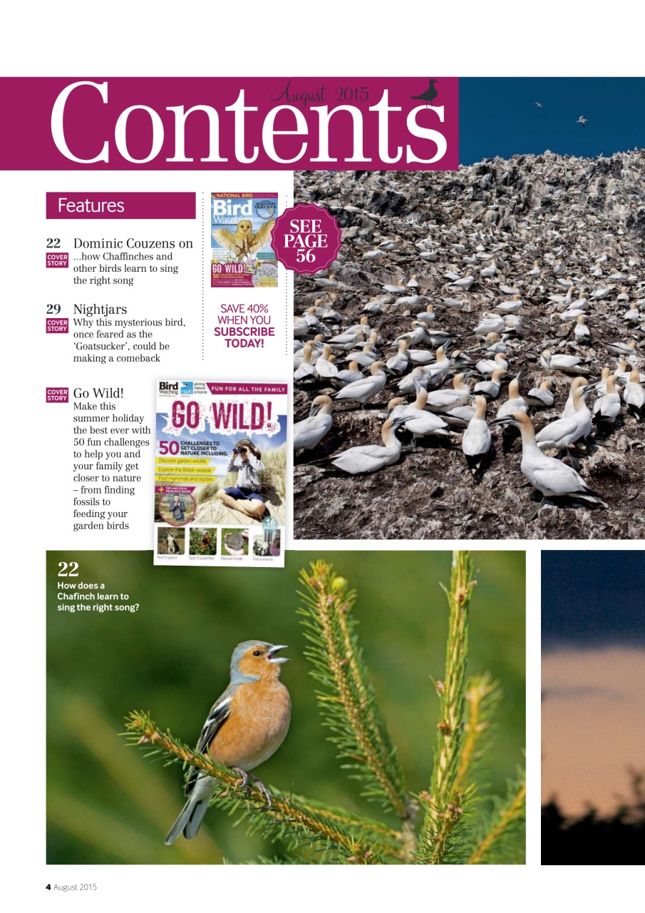 Bird Watching Preview Pages