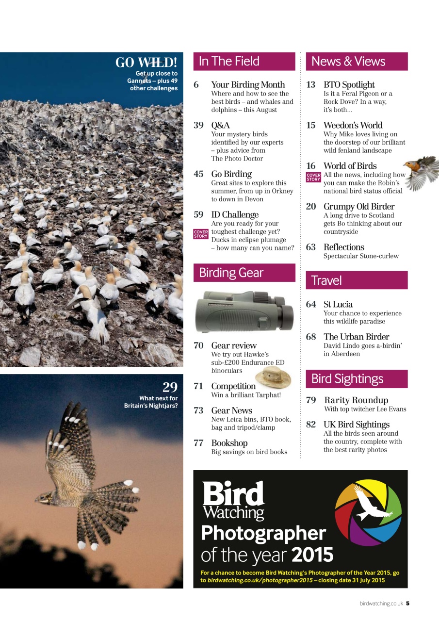 Bird Watching Preview Pages