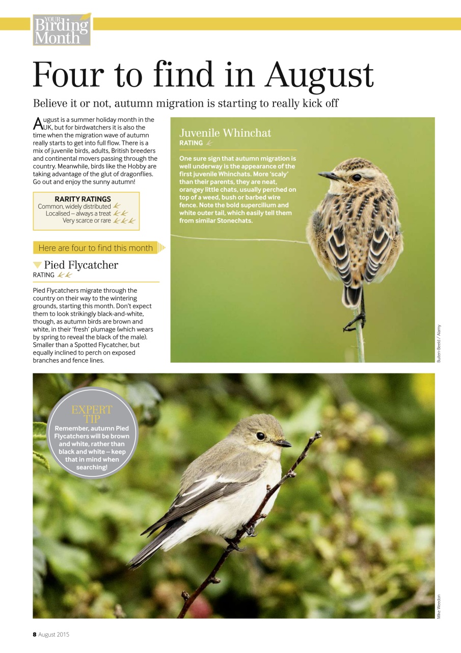 Bird Watching Preview Pages
