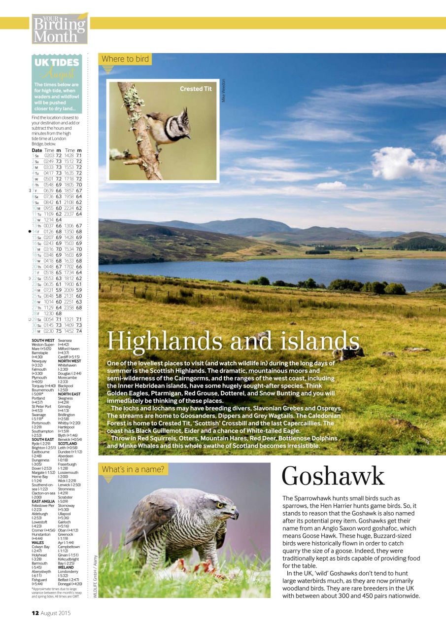 Bird Watching Preview Pages