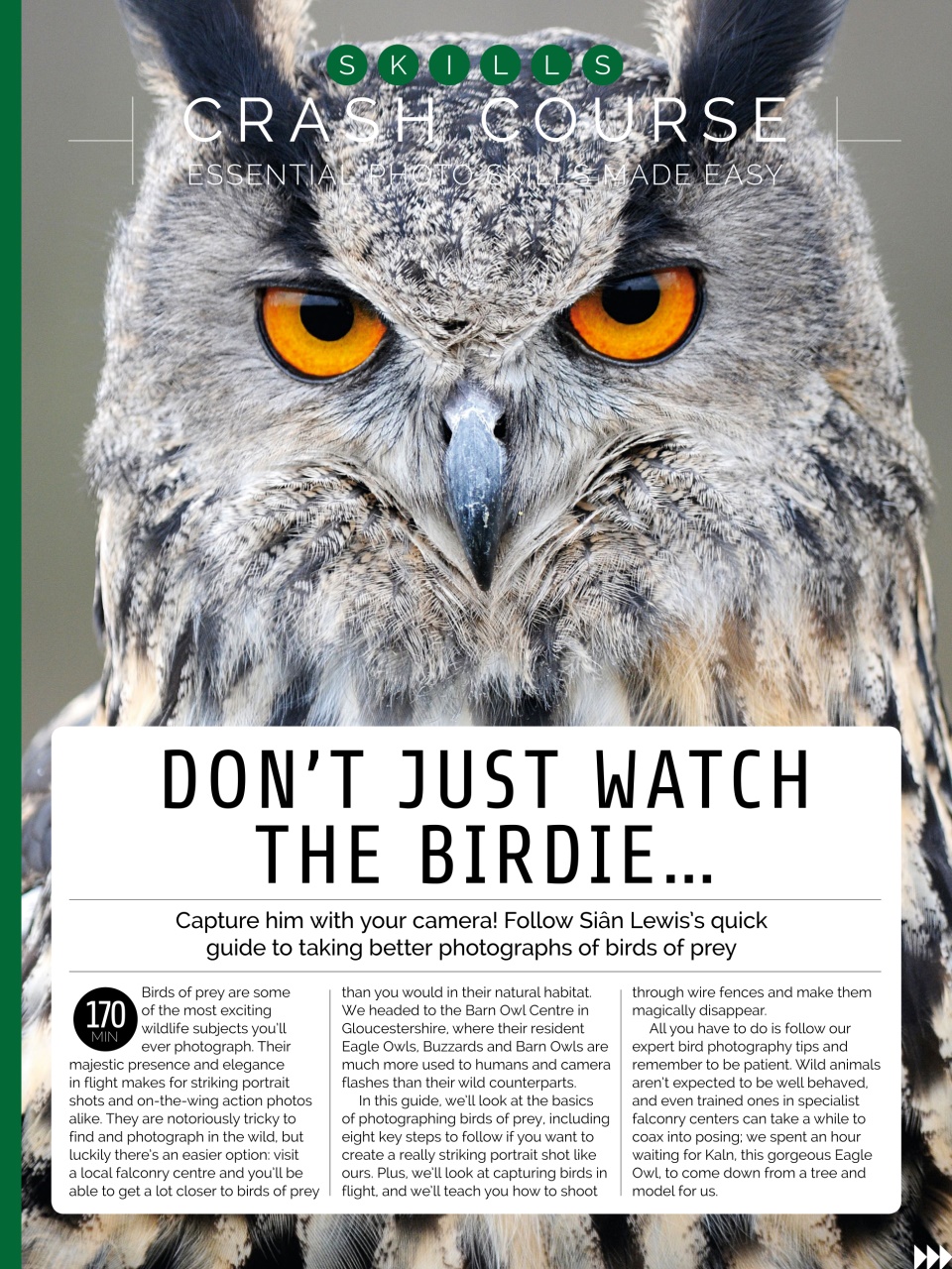 Photography Week Preview Pages