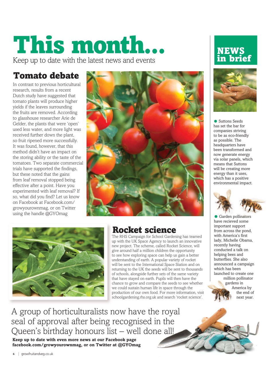 Grow Your Own Preview Pages