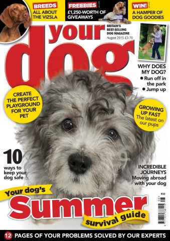 Your Dog issue Your Dog Magazine August 2015