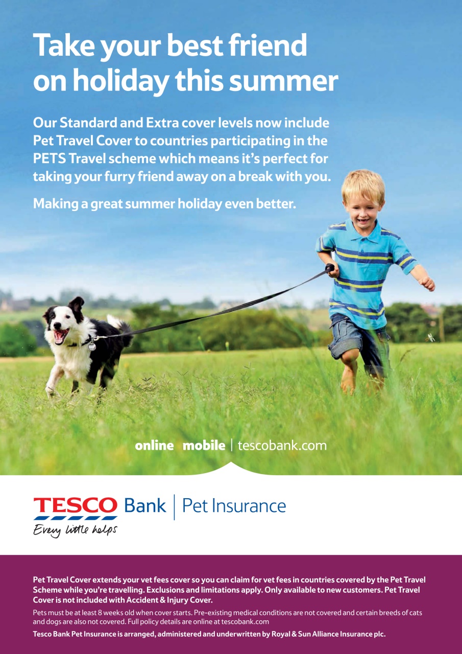 Your Dog Preview Pages