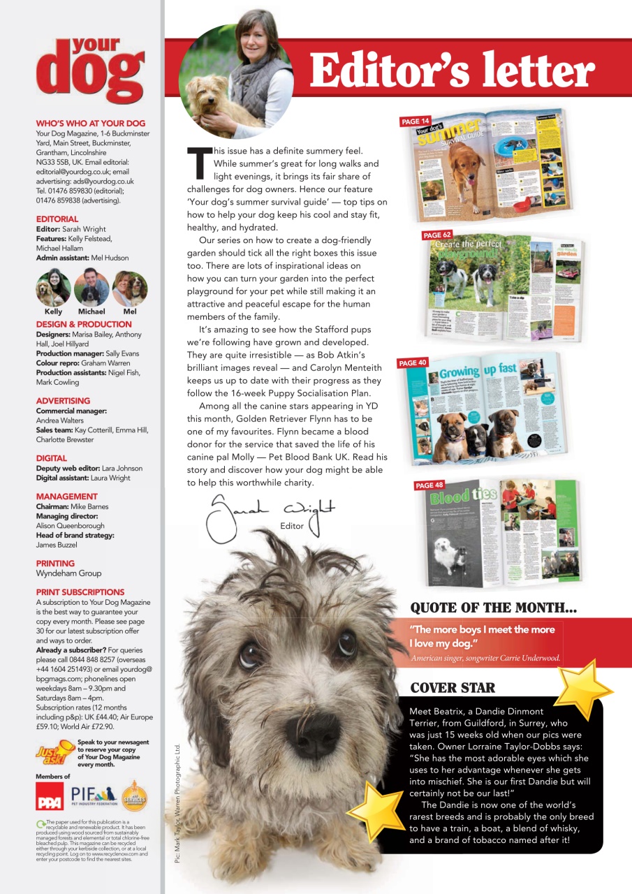 Your Dog Preview Pages