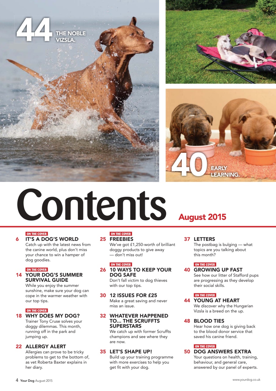 Your Dog Preview Pages