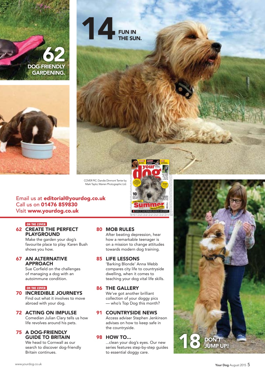 Your Dog Preview Pages