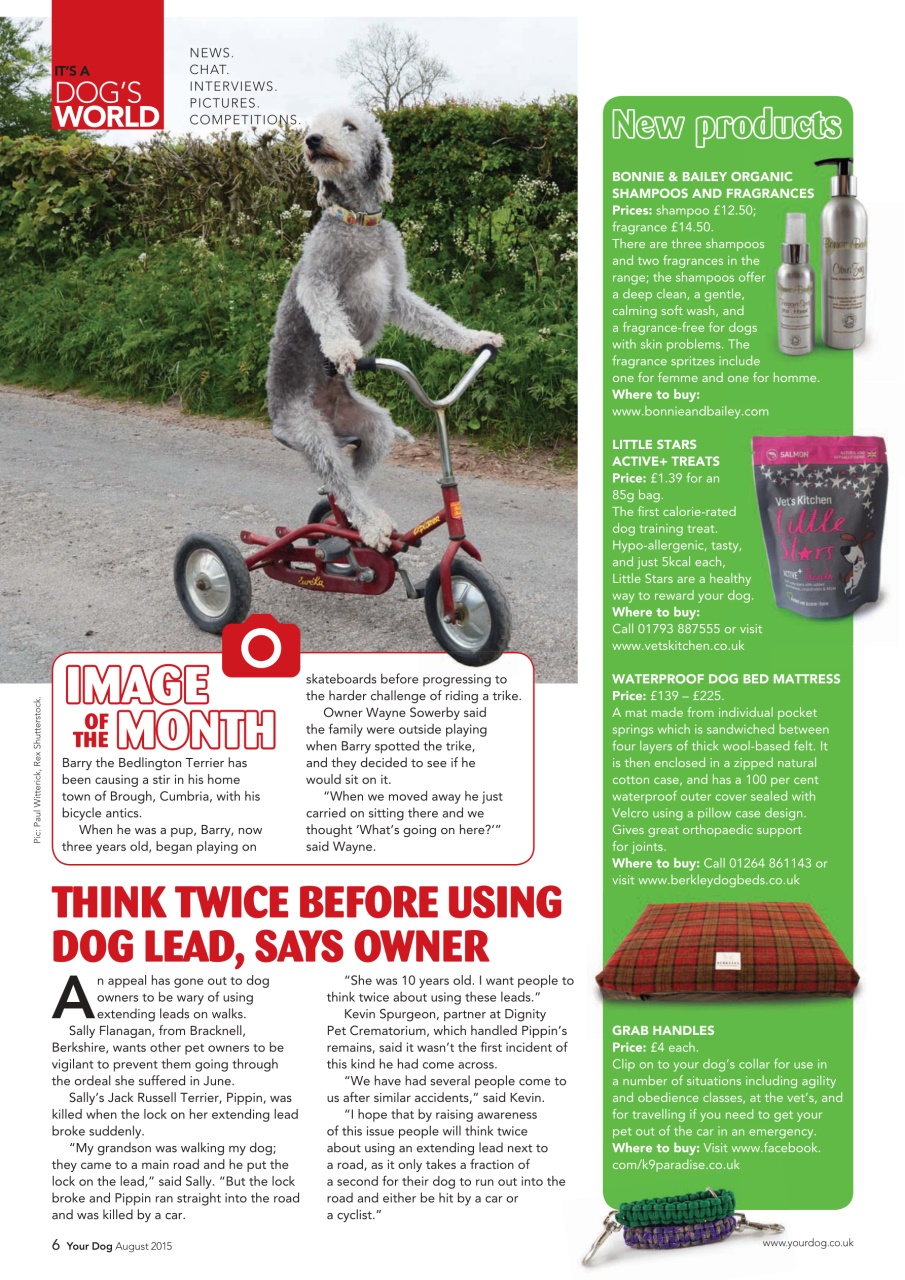 Your Dog Preview Pages