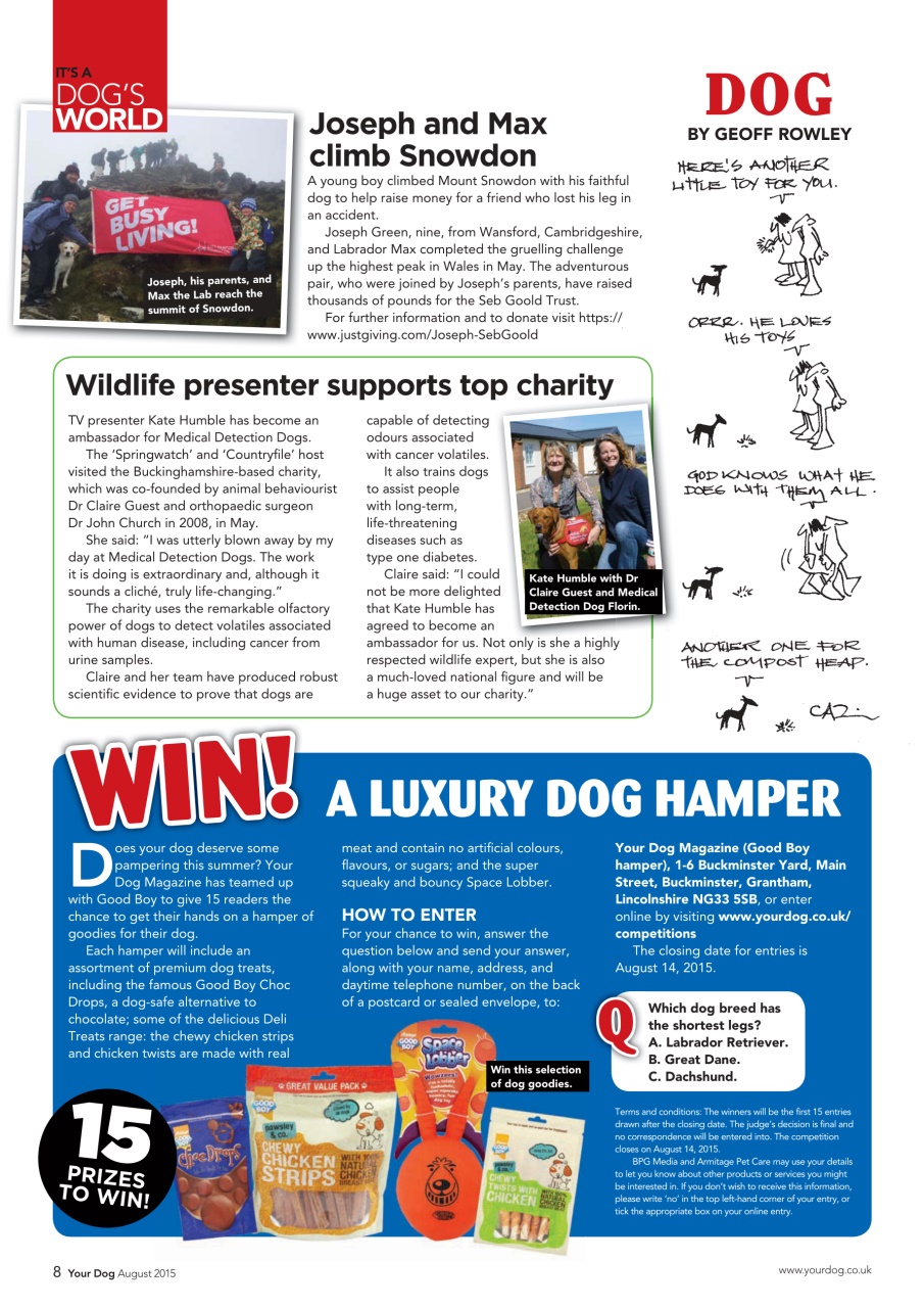 Your Dog Preview Pages