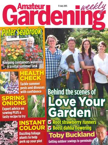 Amateur Gardening issue 11th July 2015