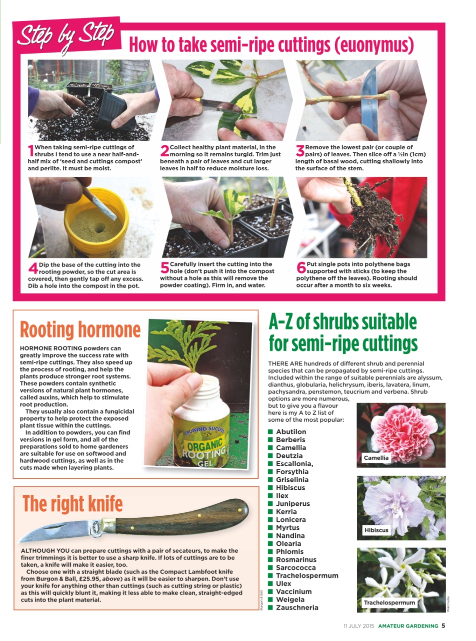 Amateur Gardening Preview Pages