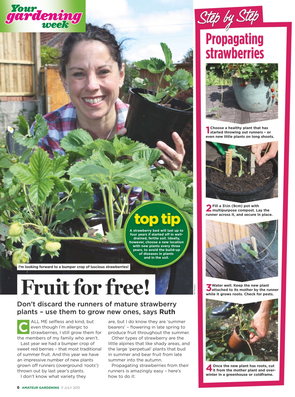 Amateur Gardening Preview Pages