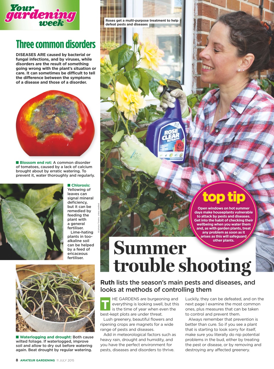 Amateur Gardening Preview Pages