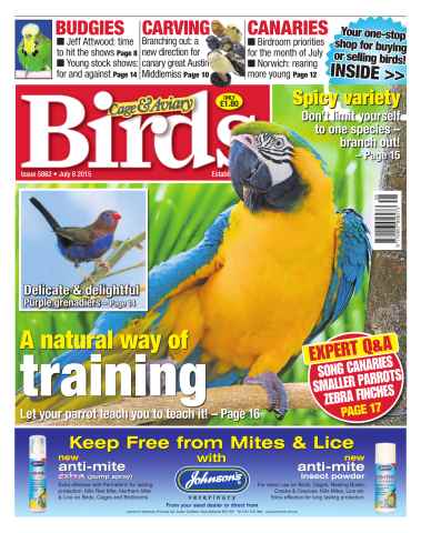 Cage & Aviary Birds issue No.5862 A Natural Way of Training