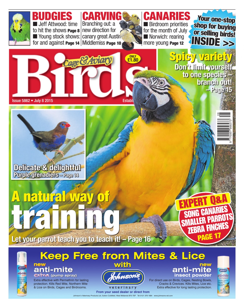 Cage & Aviary Birds Preview Pages