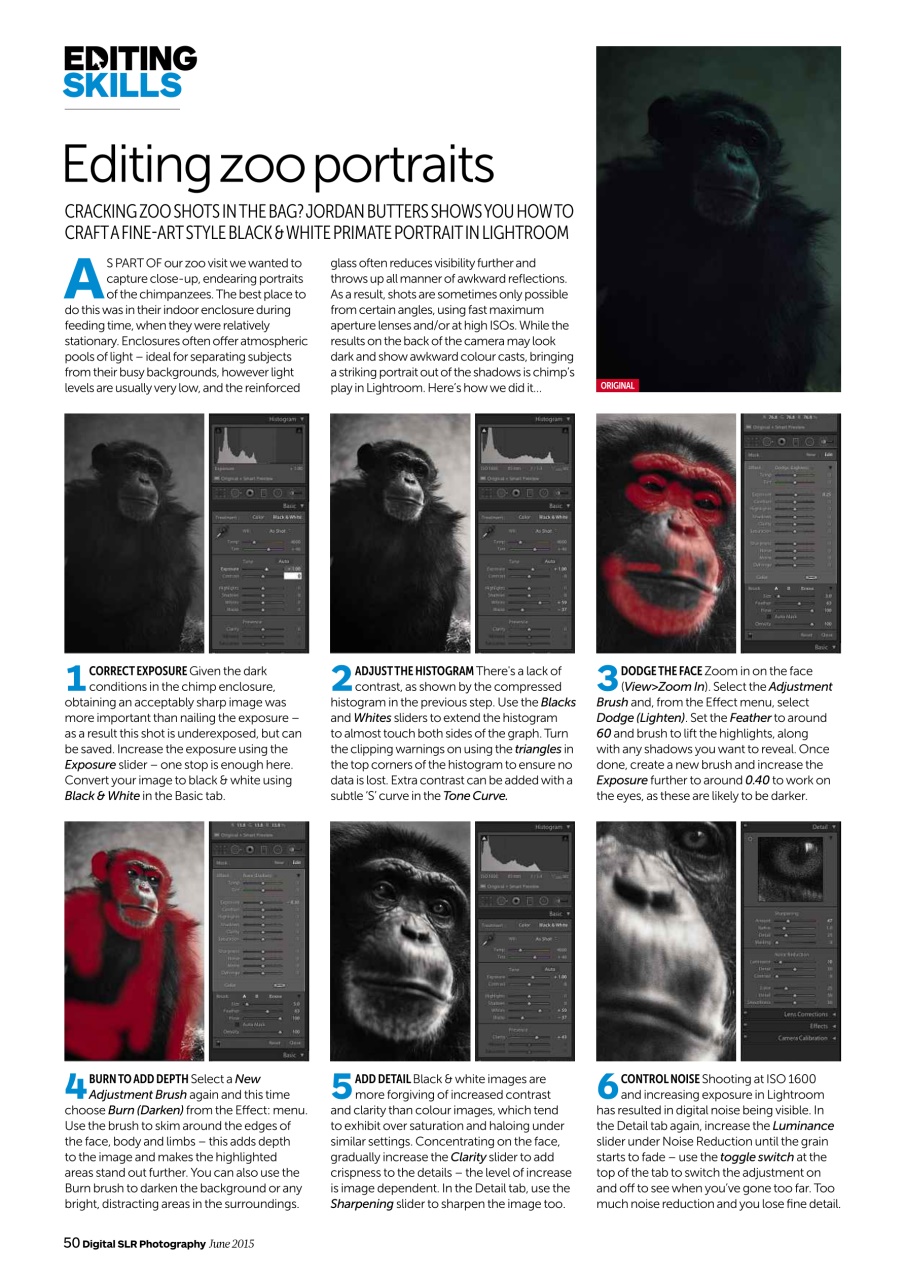 Digital SLR Photography Preview Pages