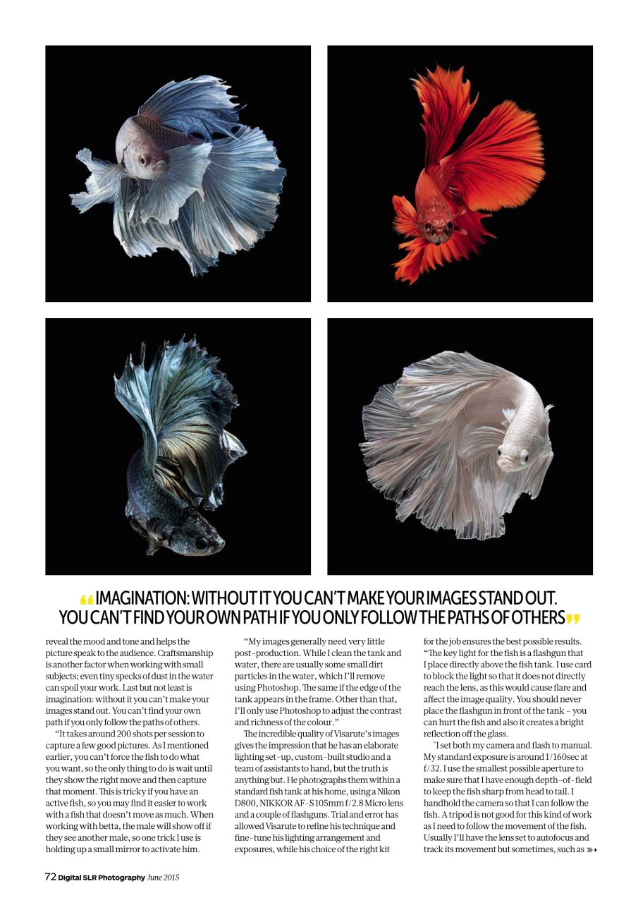 Digital SLR Photography Preview Pages