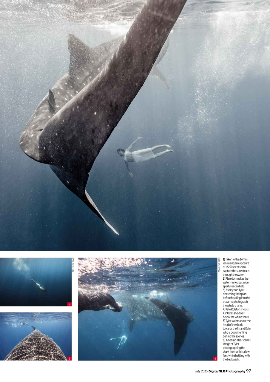 Digital SLR Photography Preview Pages