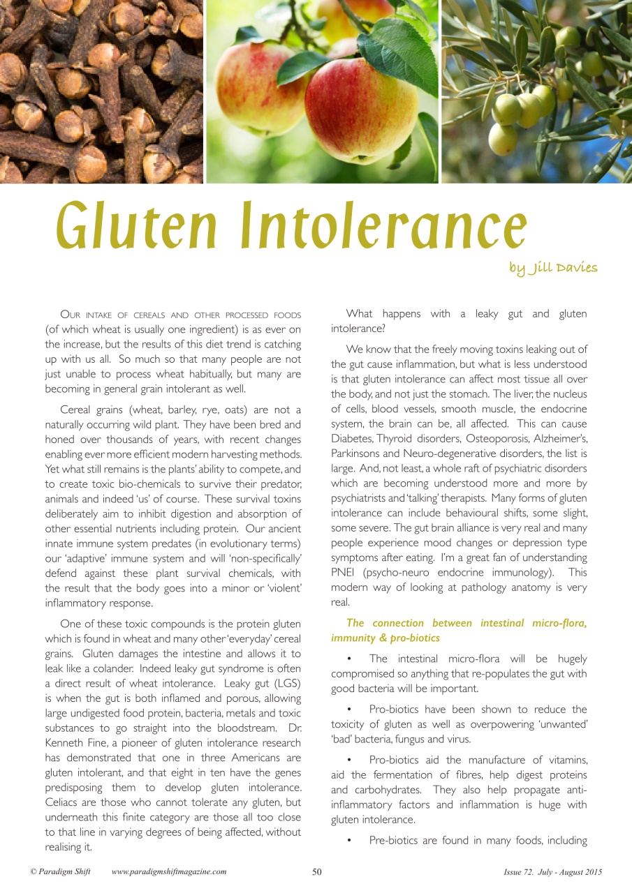 Paradigm Shift Preview Pages