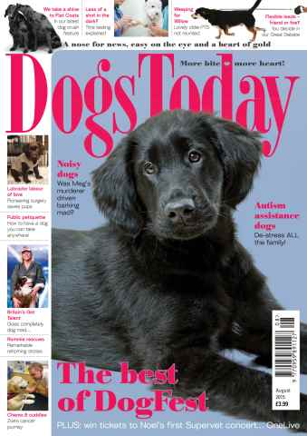 Dogs Today Magazine issue August 2015