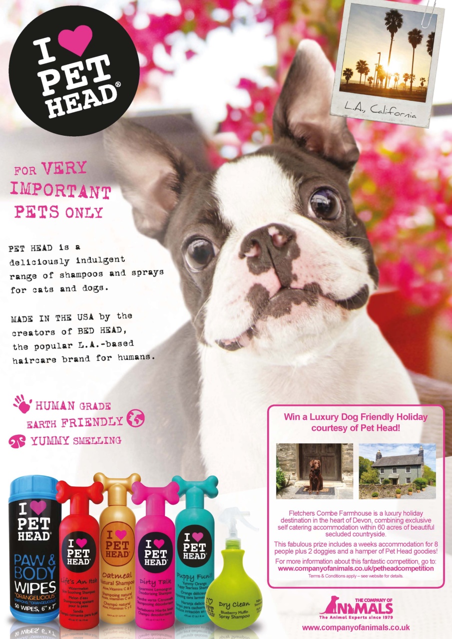 Dogs Today Magazine Preview Pages