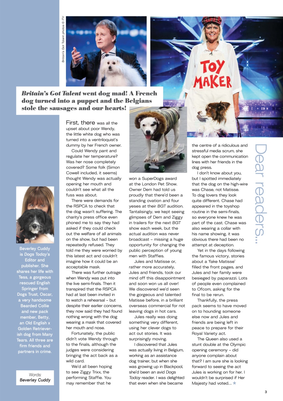 Dogs Today Magazine Preview Pages
