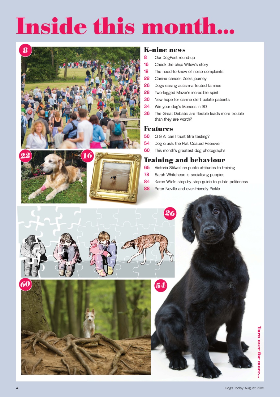 Dogs Today Magazine Preview Pages