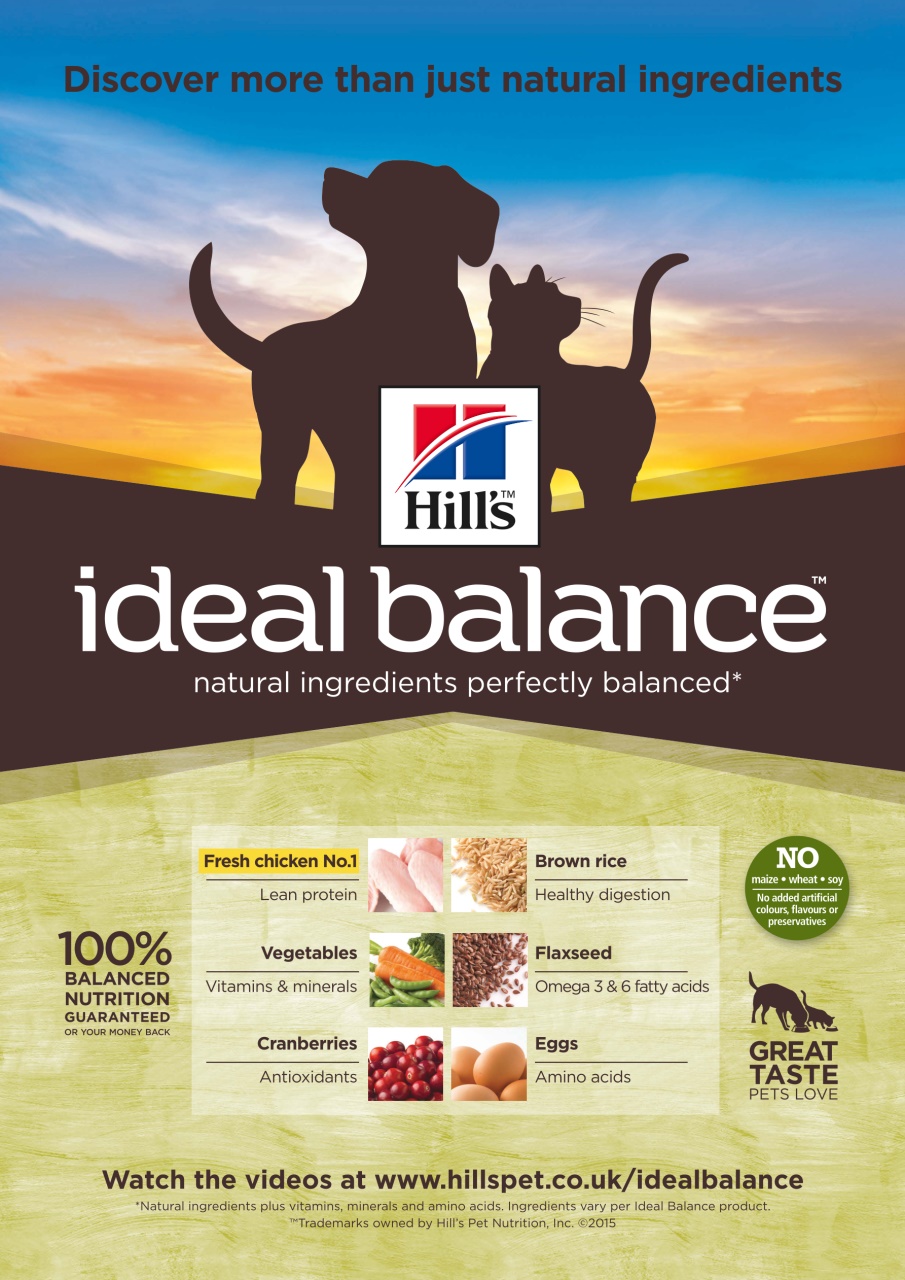 Dogs Today Magazine Preview Pages