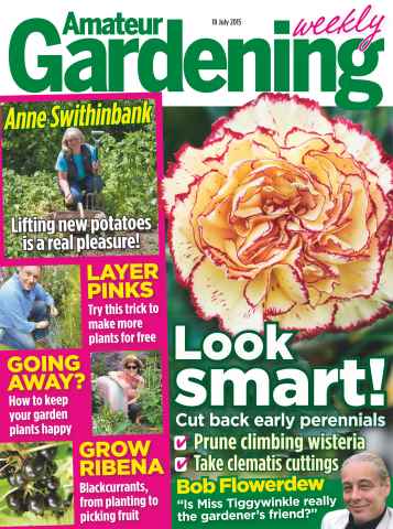 Amateur Gardening issue 18th July 2015