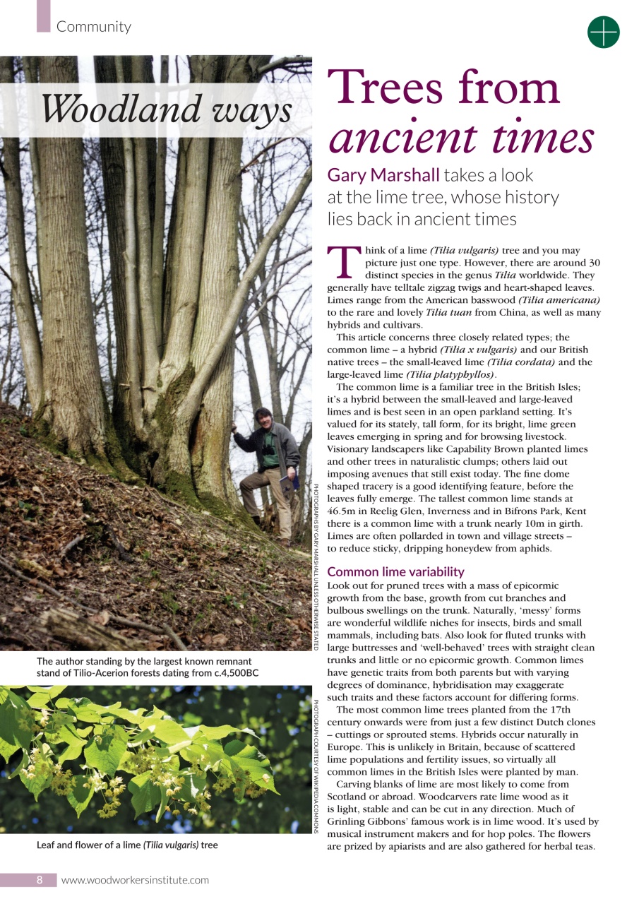 Woodworking Crafts Magazine Preview Pages