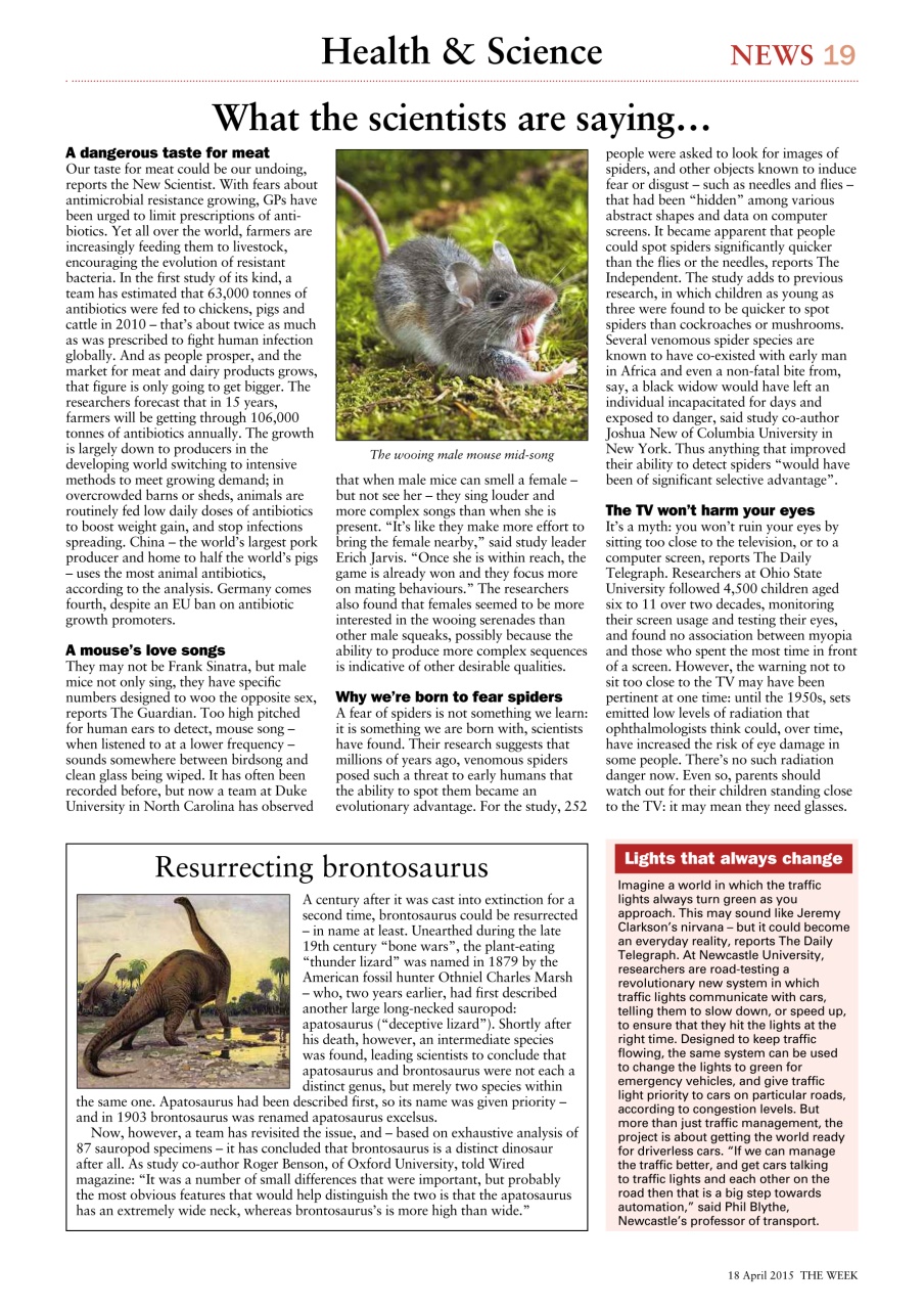 The Week Preview Pages