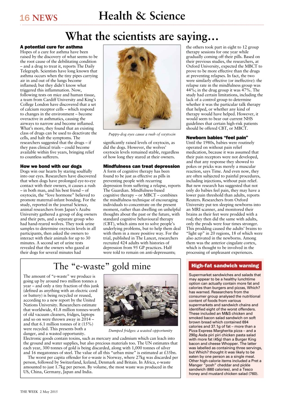 The Week Preview Pages