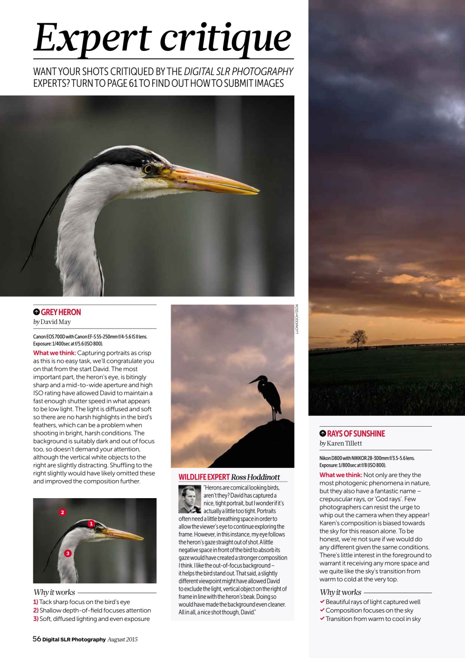 Digital SLR Photography Preview Pages