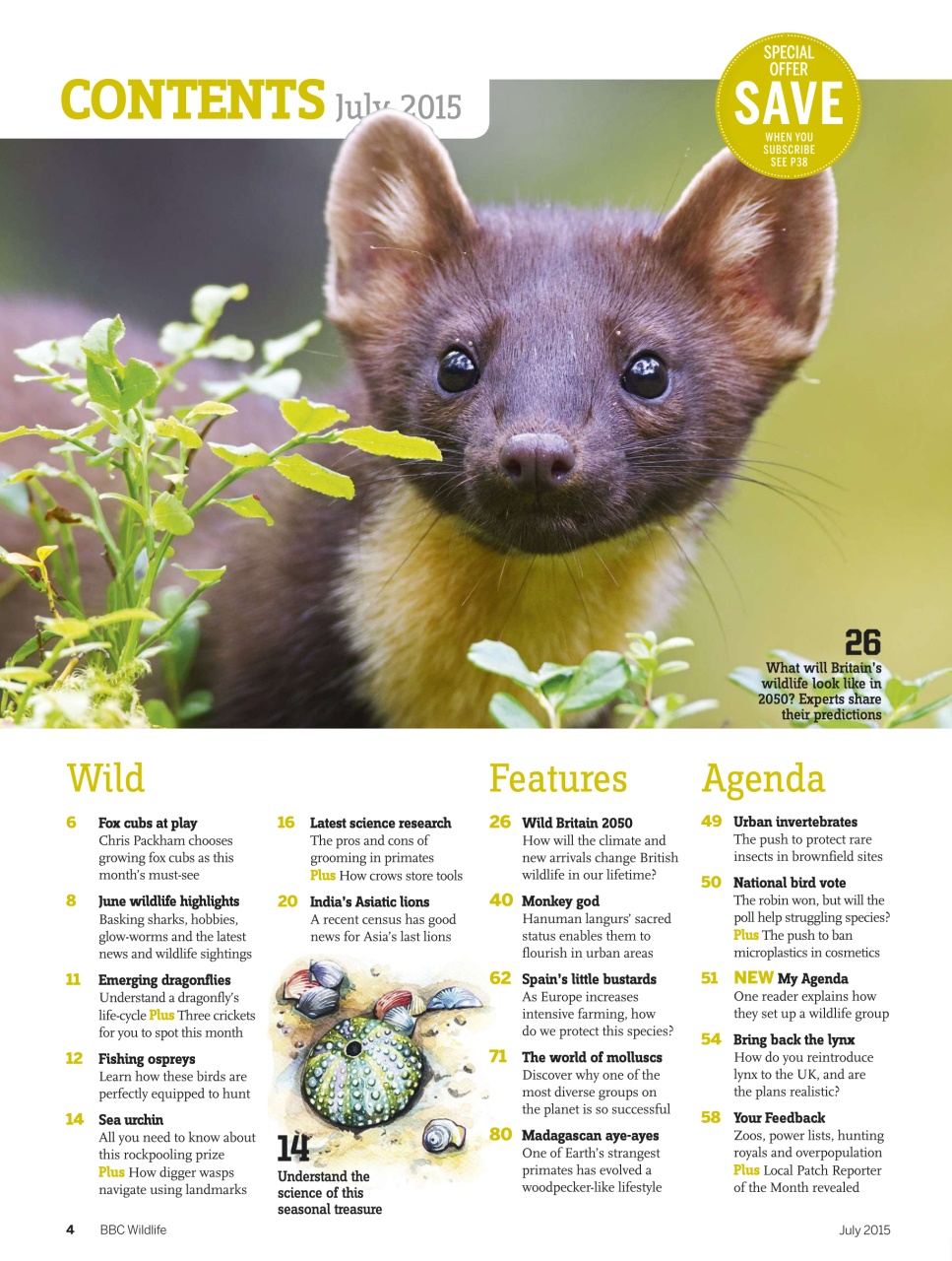 BBC Wildlife Magazine Preview Pages