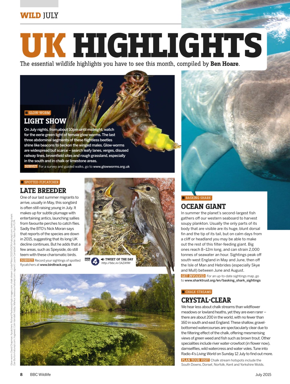 BBC Wildlife Magazine Preview Pages