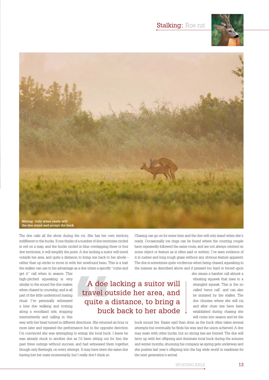 Sporting Rifle Preview Pages