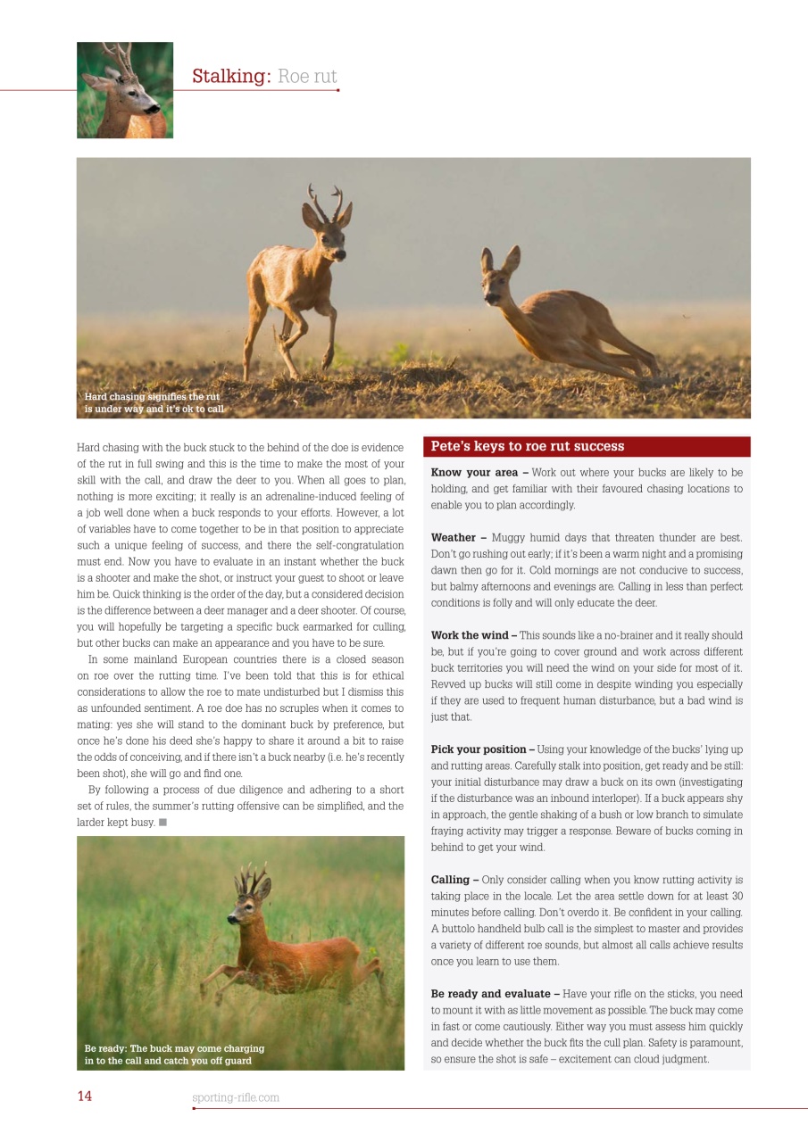 Sporting Rifle Preview Pages