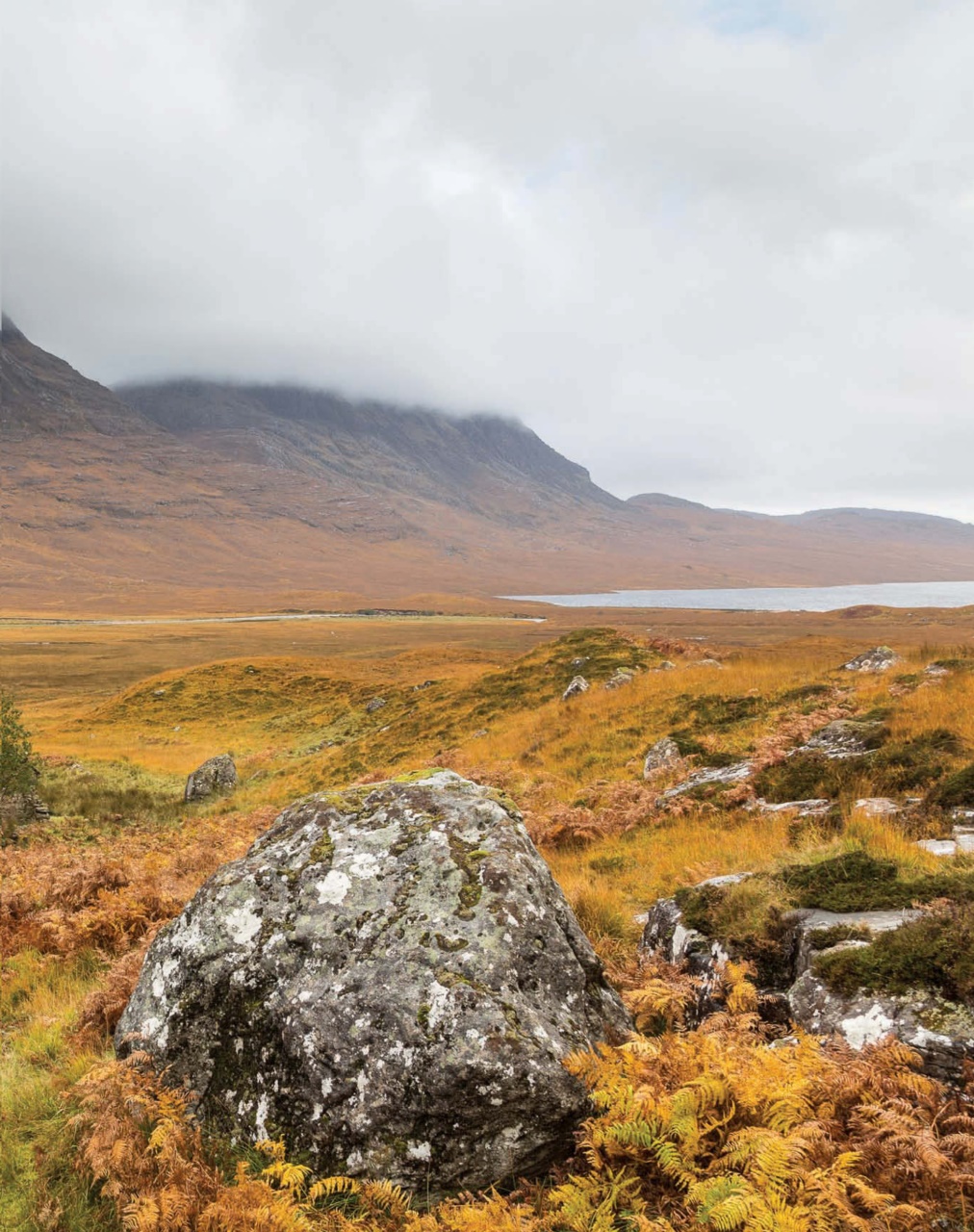 TGO - The Great Outdoors Magazine Preview Pages