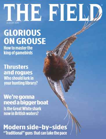 The Field issue August 2015
