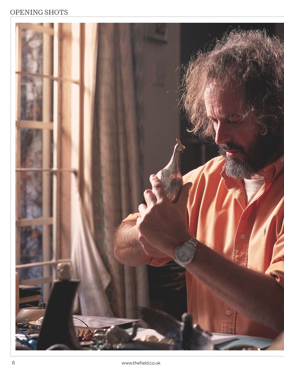 The Field Preview Pages