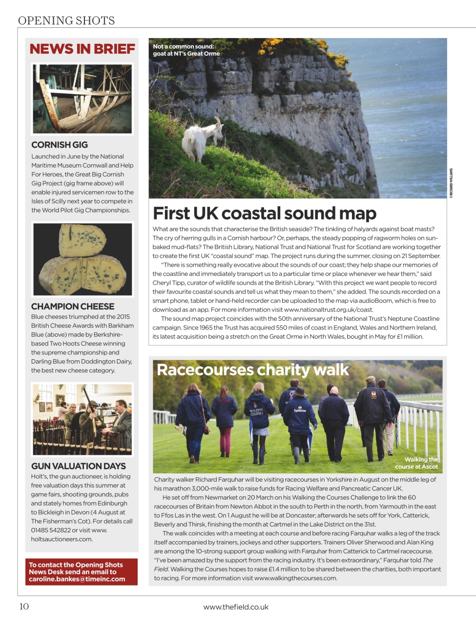 The Field Preview Pages